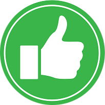 Leave A Review | Pinellas Auto Service